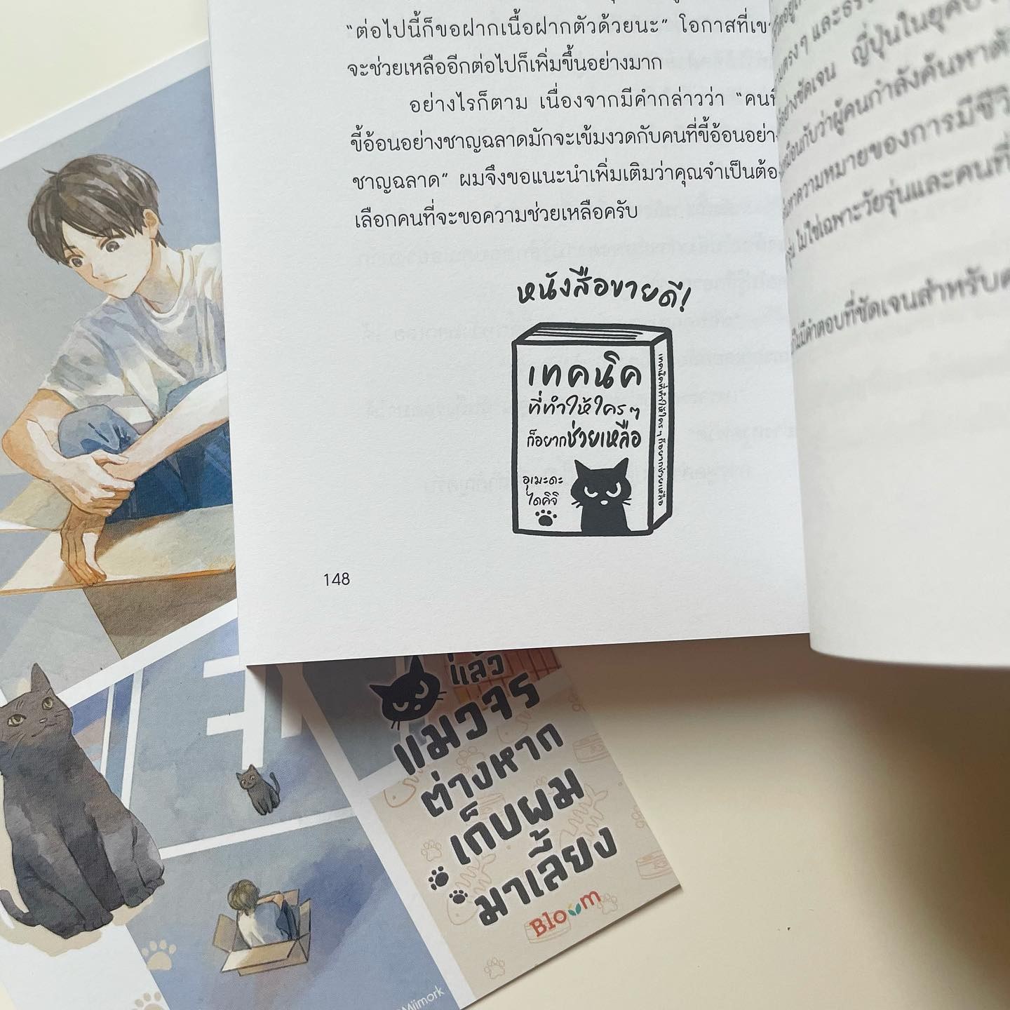 จริง ๆ แล้วแมวจรต่างหากเก็บผมมาเลี้ยง รูปที่ 6