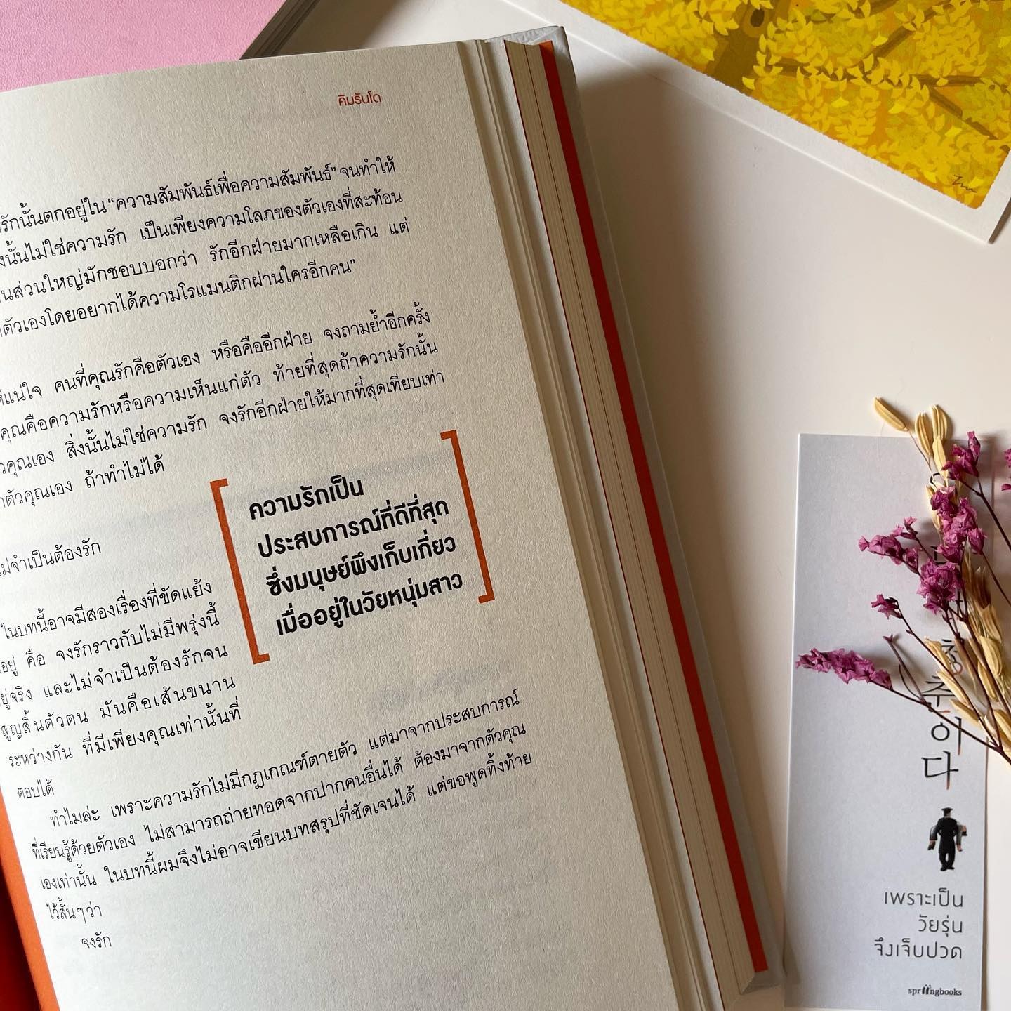 เพราะเป็นวัยรุ่นจึงเจ็บปวด รูปที่ 4