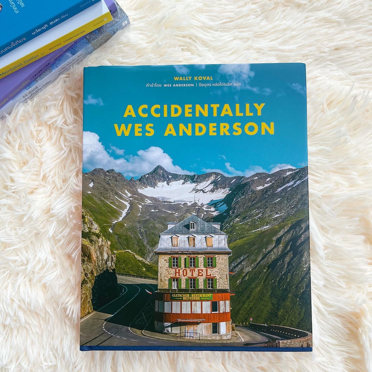 Accidentally Wes Anderson รูปที่ 1