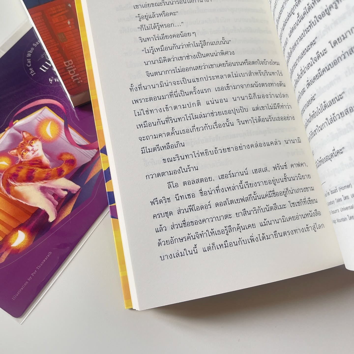 ปาฏิหาริย์แมวลายส้มผู้พิทักษ์หนังสือ เล่ม 2 รูปที่ 6