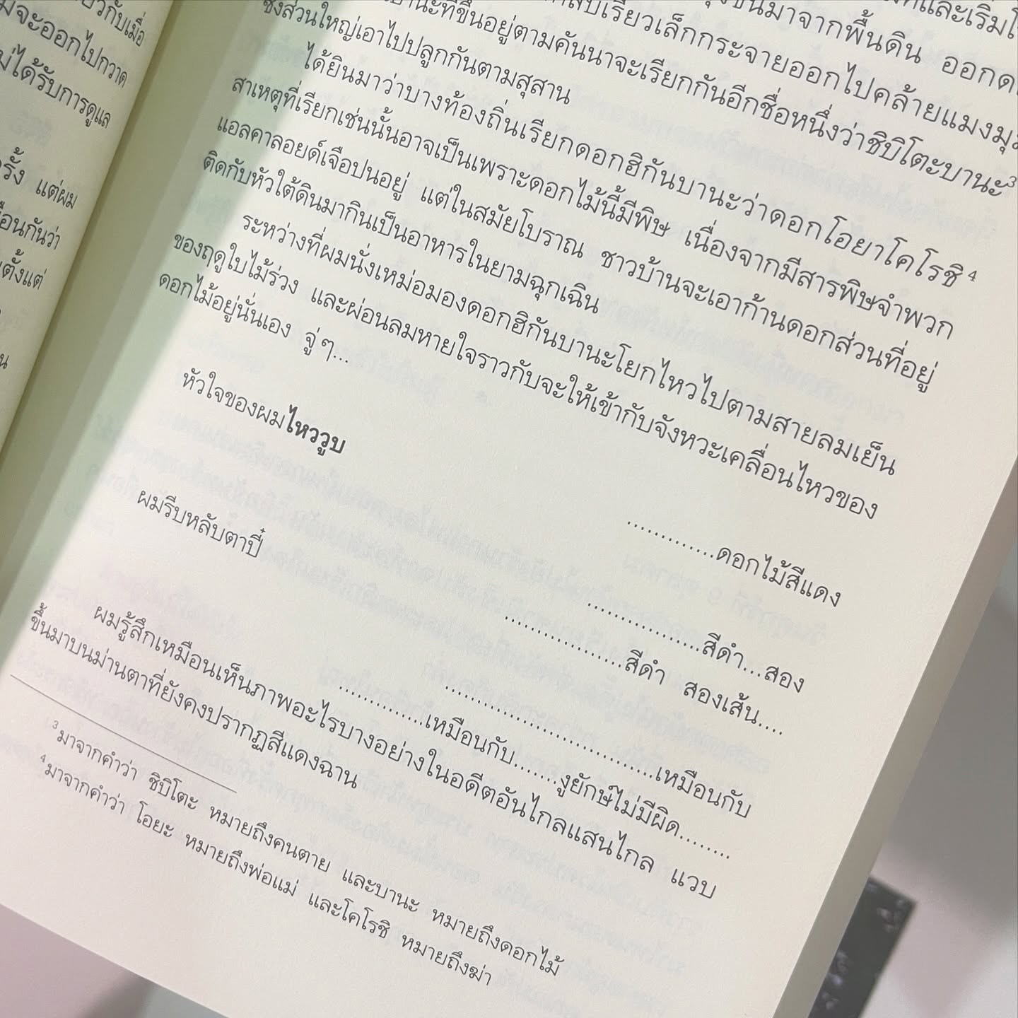 คดีฆาตกรรมในคฤหาสน์หุ่น รูปที่ 7