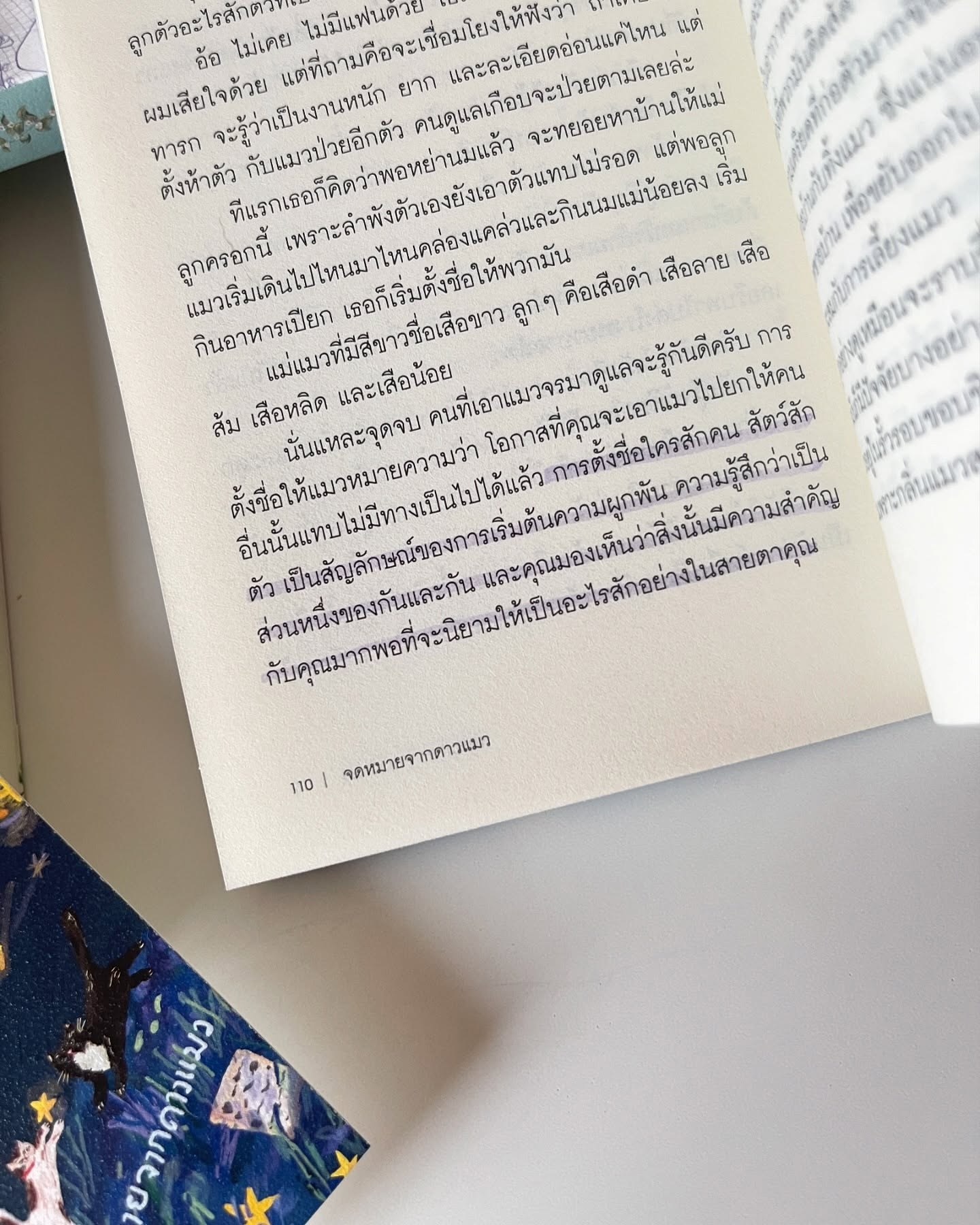 จดหมายจากดาวแมว รูปที่ 6