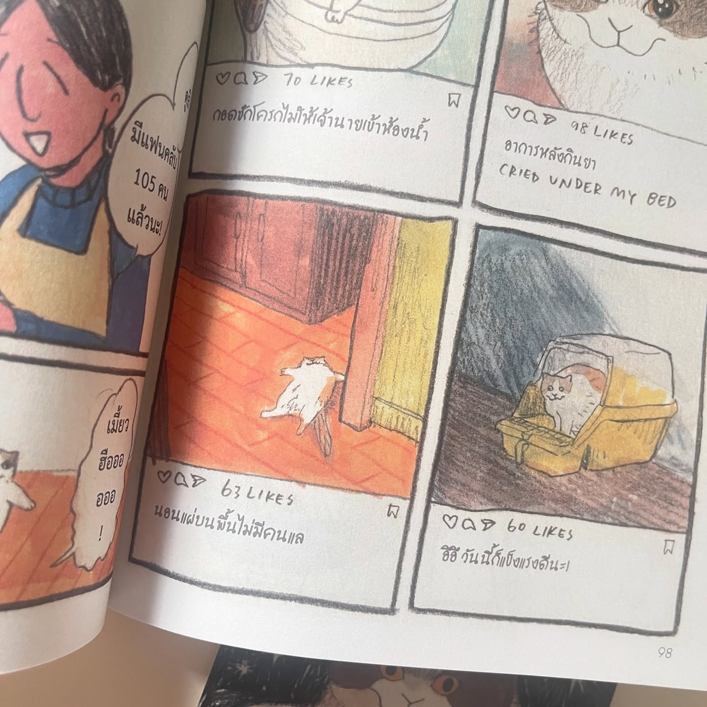 ไดอารี่ของเหมียวโมปู้ รูปที่ 10
