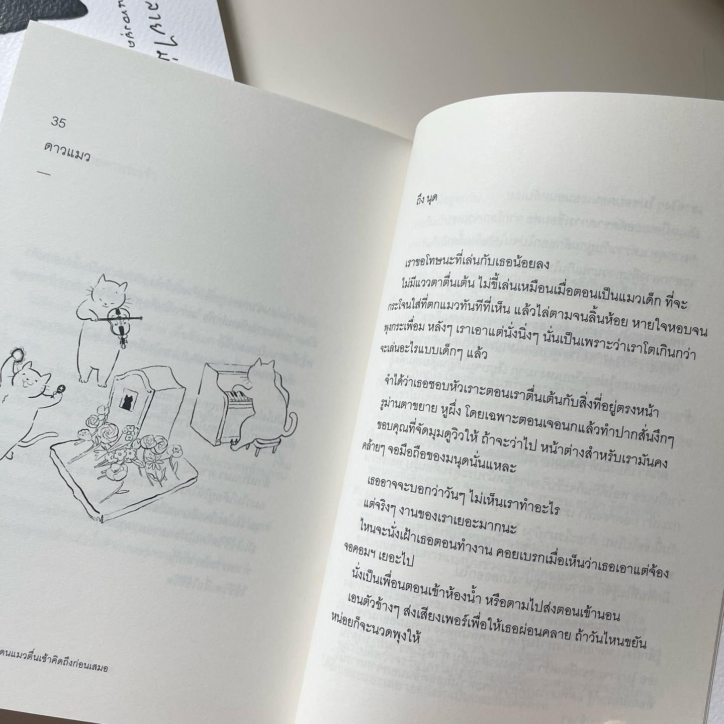แมวตื่นสายมักจะโดนแมวตื่นเช้าคิดถึงก่อนเสมอ รูปที่ 8