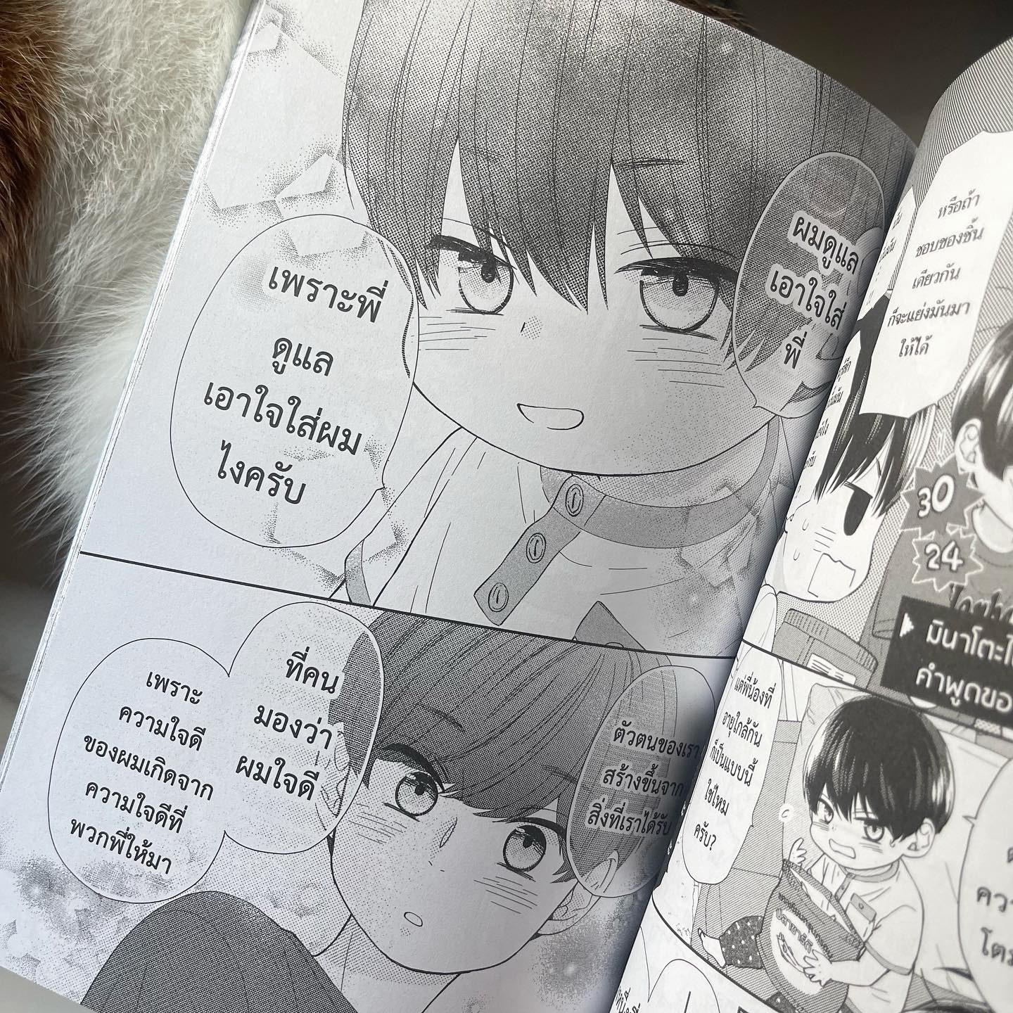 สี่พี่น้องยุซึกิ ครอบครัวนี้มีแต่รัก เล่ม 4 รูปที่ 4