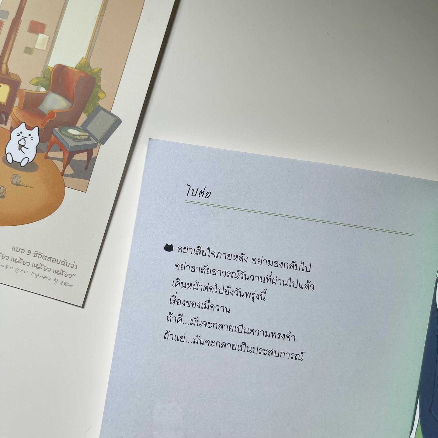 แมว 9 ชีวิตสอนฉันว่า “เหมียว เหมียว เหมียว เหมียว เหมียว” รูปที่ 9