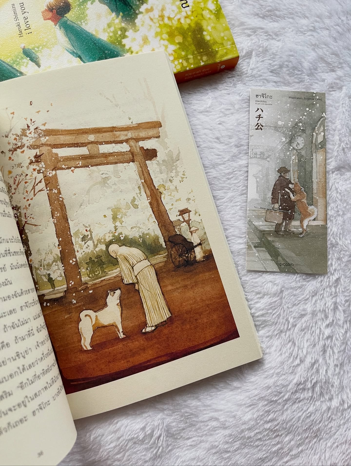 ฮาจิโกะ รูปที่ 6