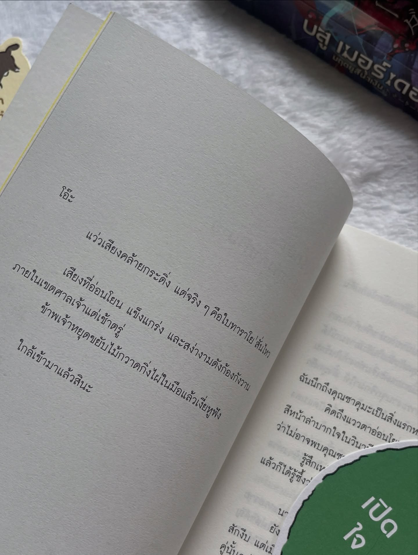 แมวปริศนากับใบไม้แห่งคำทำนาย รูปที่ 2