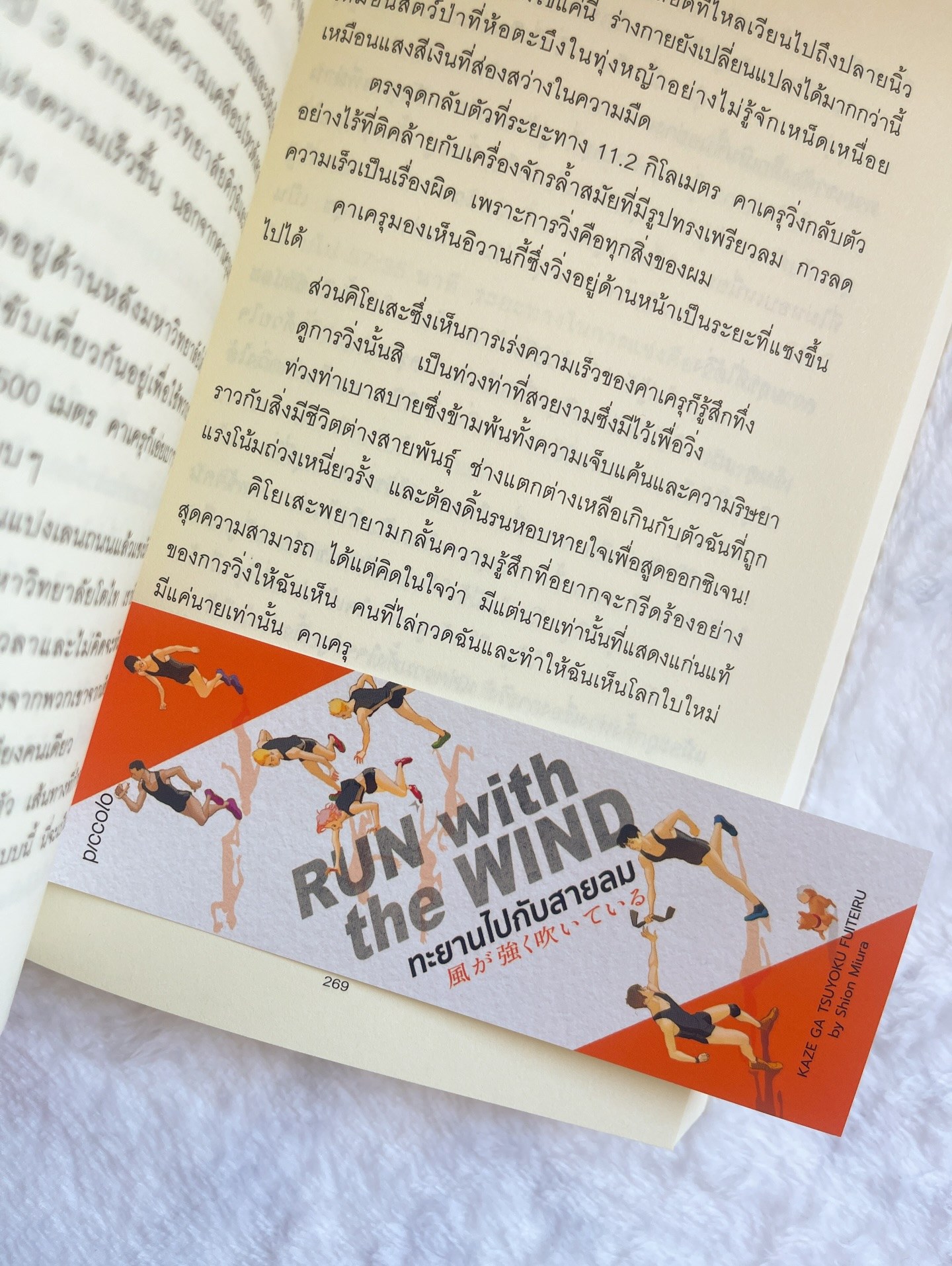 Run with the Wind ทะยานไปกับสายลม รูปที่ 3