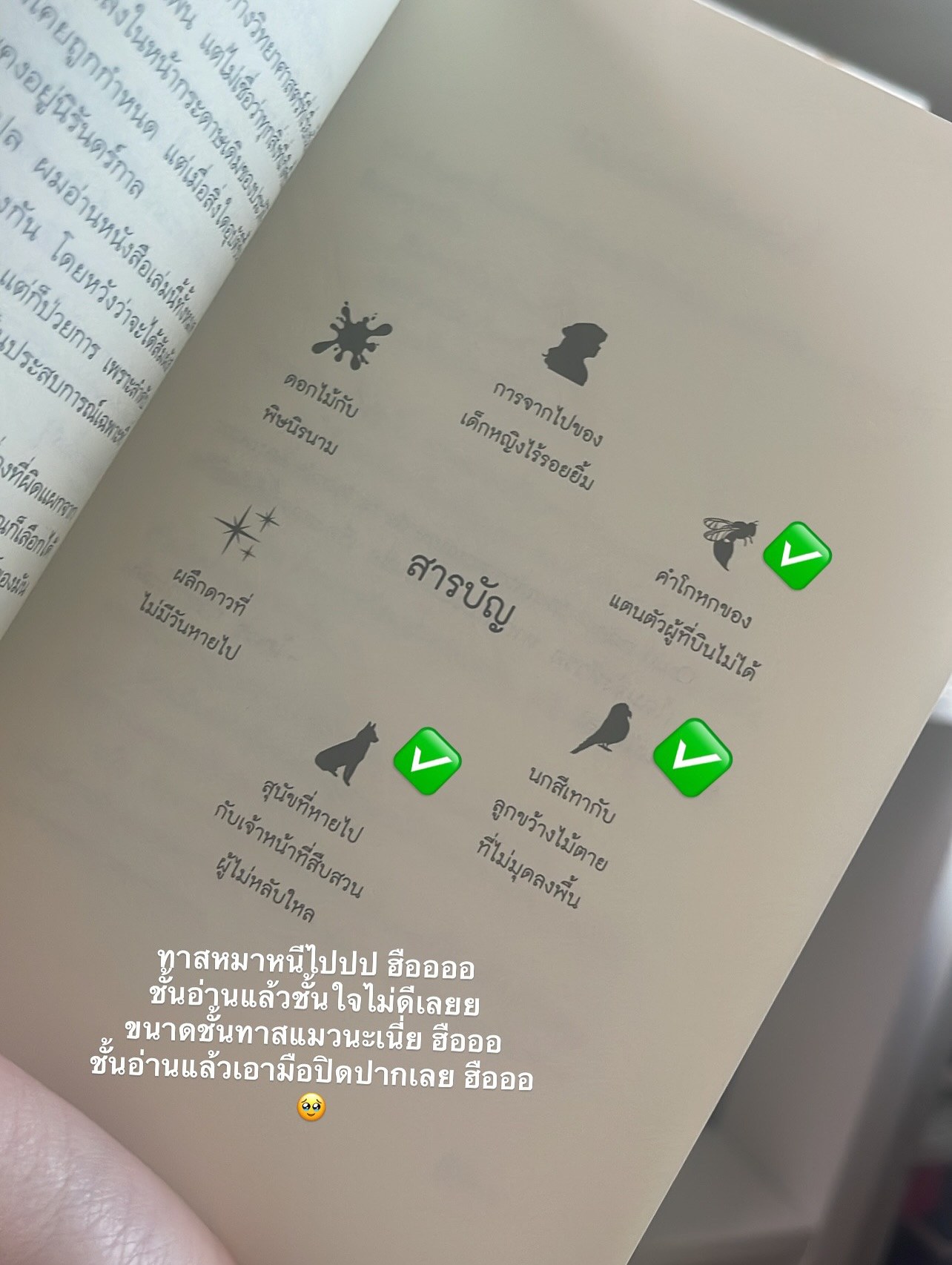 เอ็น รูปที่ 2