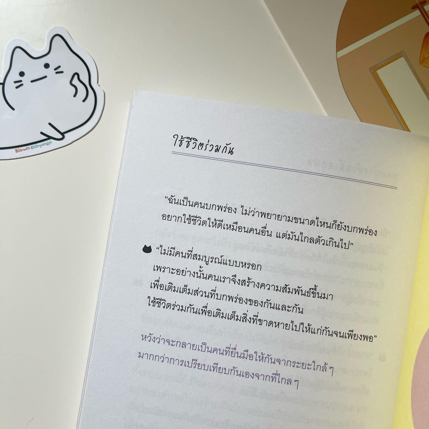 แมว 9 ชีวิตสอนฉันว่า “เหมียว เหมียว เหมียว เหมียว เหมียว” รูปที่ 6