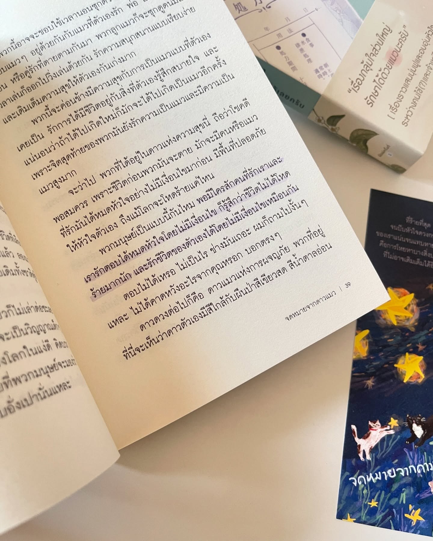 จดหมายจากดาวแมว รูปที่ 4