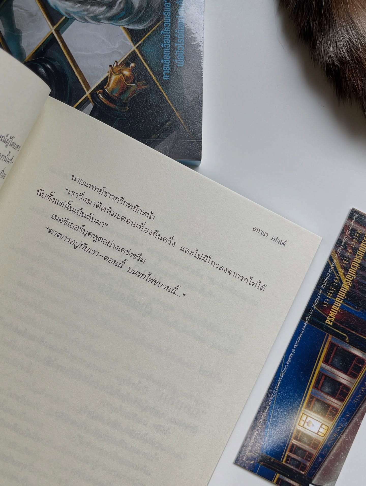 ฆาตกรรมบนรถด่วนโอเรียนท์เอกซ์เพรส รูปที่ 6