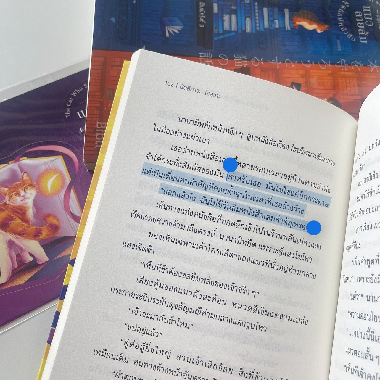ปาฏิหาริย์แมวลายส้มผู้พิทักษ์หนังสือ เล่ม 2 รูปที่ 3