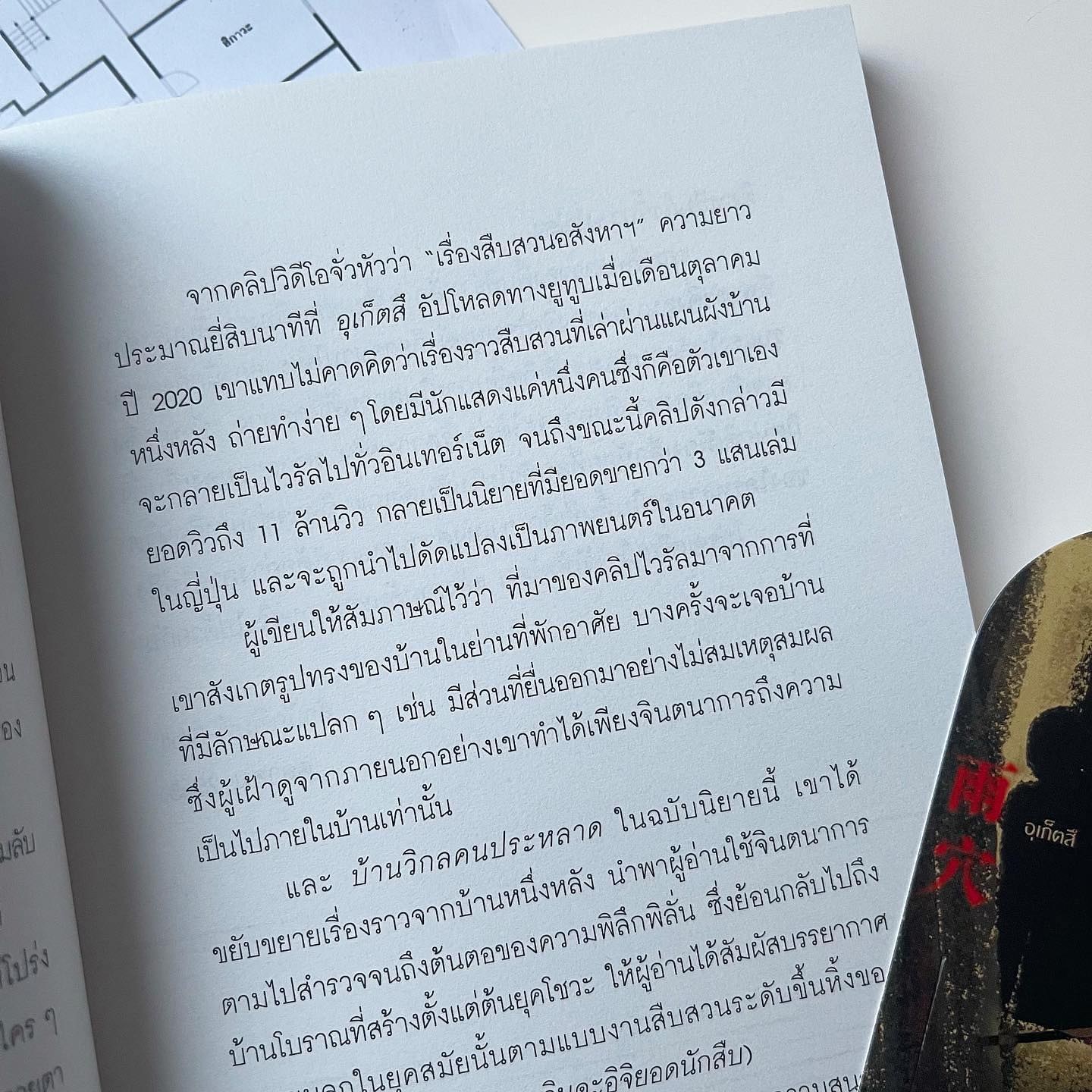 บ้านวิกลคนประหลาด รูปที่ 5