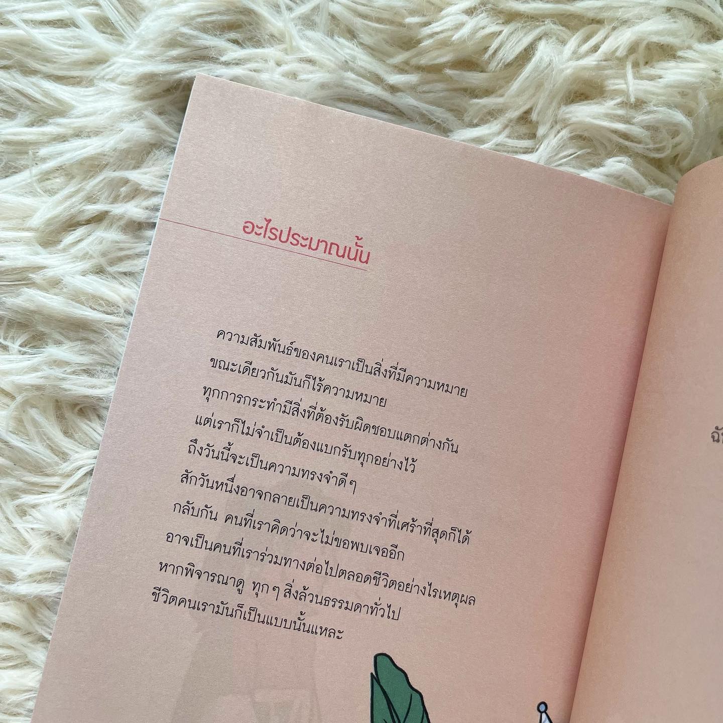 รอเรือ ไม้หันอากาศ กอไก่ อะไรประมาณนั้น รูปที่ 8