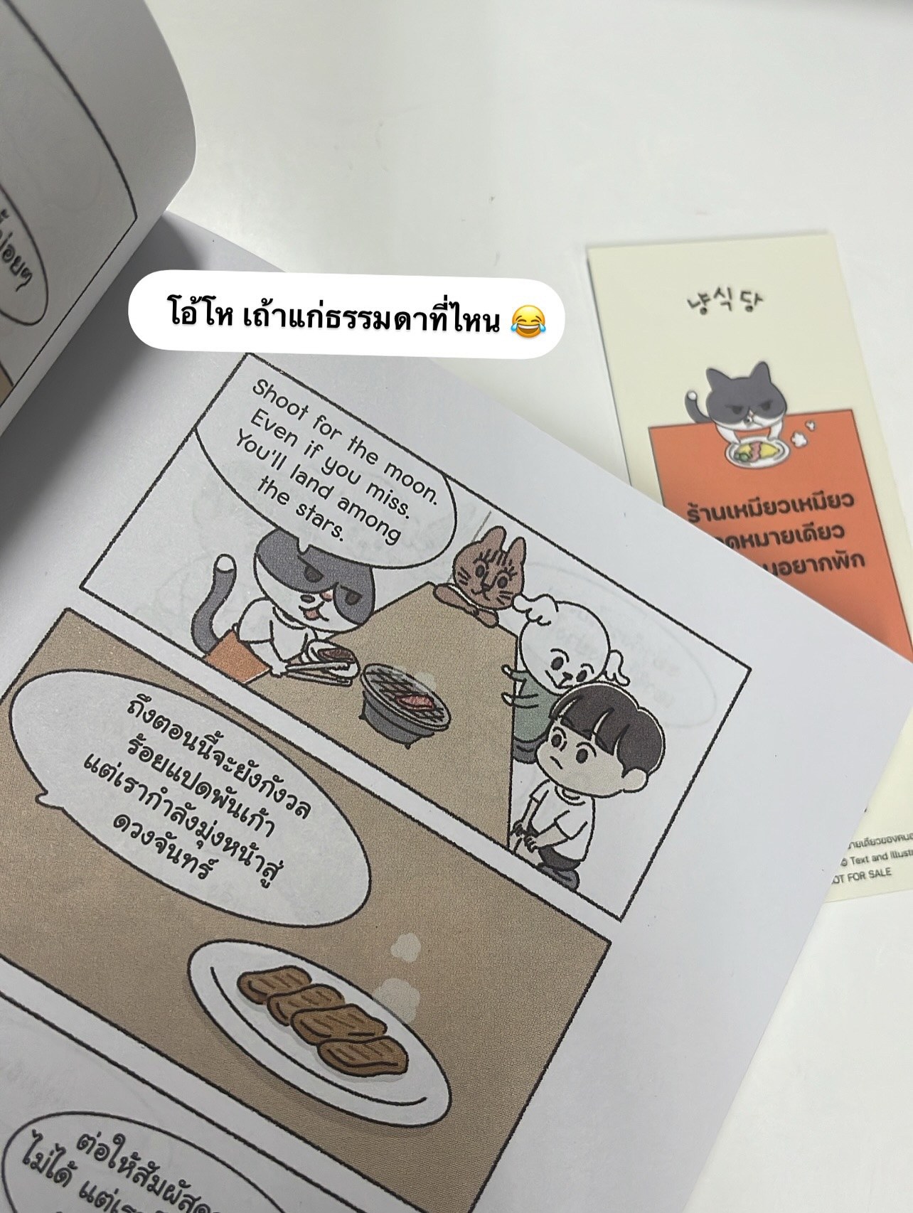 ร้านเหมียวเหมียว จุดหมายเดียวของคนอยากพัก รูปที่ 7